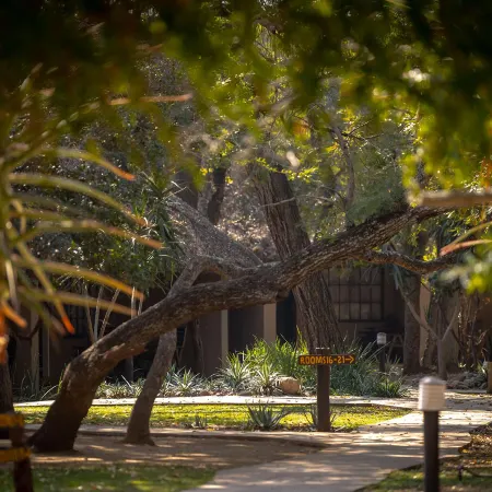 Karongwe- Shiduli Safari Lodge