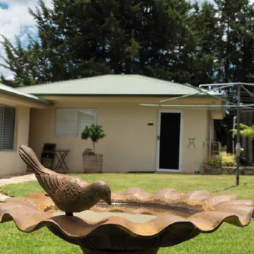 Studio at Beechworth next to the forest. Pet friendly but please let us know. .