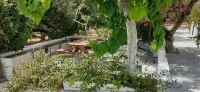 Captain's Apartments in Olive Grove 2 - Condos