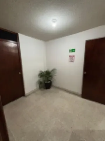 莫雷利亞的愛彼迎