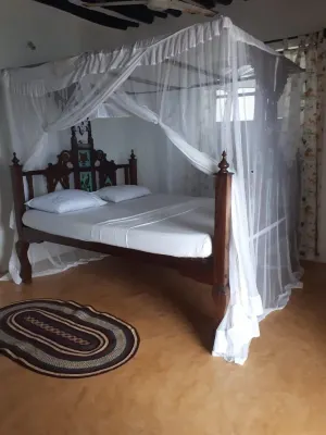 Stopover Guest House - Lamu Town - Homestays