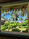 Holiday Beach Hotel - Ocean View