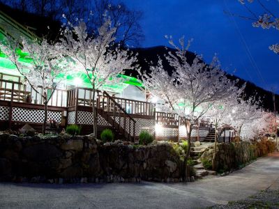 Miryang Sunflower Pension