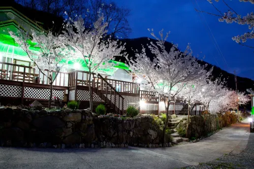 Miryang Sunflower Pension - ห้องครัว