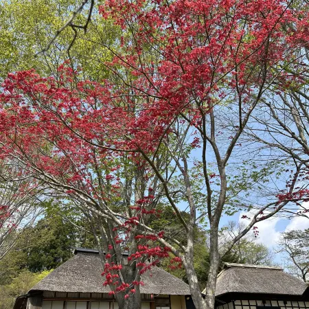 Kazenosawa