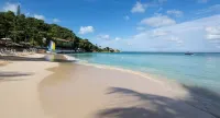 Escape to the Sun in a Tropical Getaway!