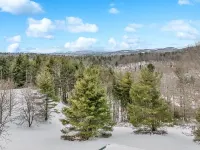 Escape to the Clouds: The Berry Barn Awaits You! Hotels in Pine Swamp