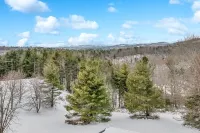 Escape to the Clouds: The Berry Barn Awaits You!