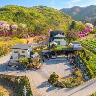Danyang Wild Flower Garden Pension Hotels near Haseon-Am
