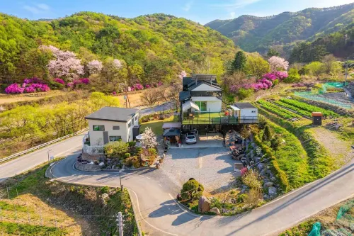 Danyang Wild Flower Garden Pension - Homestays