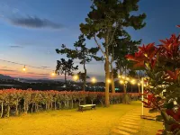 Wando Haegeum Pension
