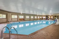 Best Western Indian Oak