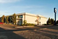 Shilo Inn Elko - Pools