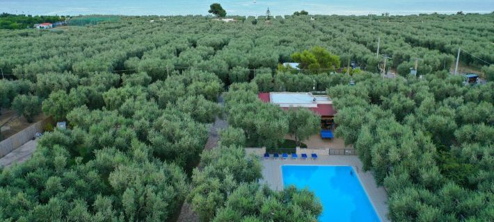 "saracena" Holiday Home with Private Beach and Swimming Pool Hotels in Mattinata
