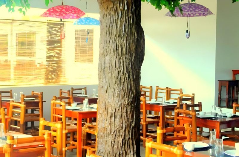 Oasis Resort and Spa photo 5