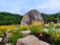 Goheung Goheung Hilling Pension - 家庭旅館