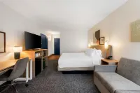Spark by Hilton Staunton - Wifi