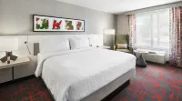 Hilton Garden Inn Albuquerque North Rio Rancho - Pet Friendly