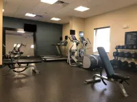 Hampton Inn & Suites Tampa Northwest/Oldsmar - Træningscentre