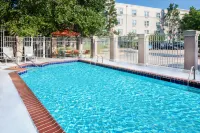 TownePlace Suites Springfield - Kæledyr tilladt