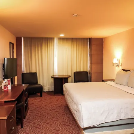 Hotel Real Plaza Aguascalientes