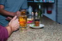 Hotel Del Rio - bar