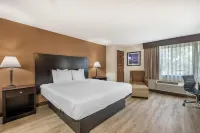 Best Western des Plaines Inn - ジム