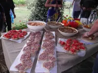 Casa Olivo | Agriturismo le Selvole - Tuscany Hotels in Pomarance