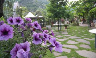 Room X 3 Villa des Reves in the Greenery Near Montecassino - Housity