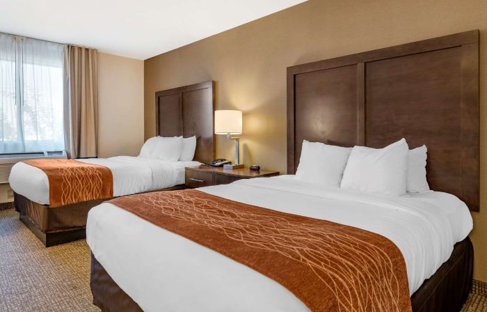 Comfort Inn Williamsport
