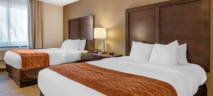 Comfort Inn Williamsport Hotels in Lycoming County