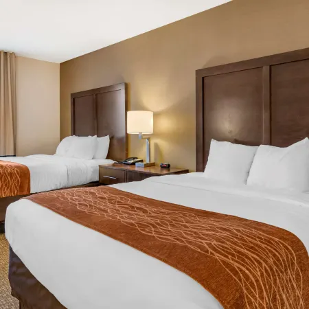 Comfort Inn Williamsport