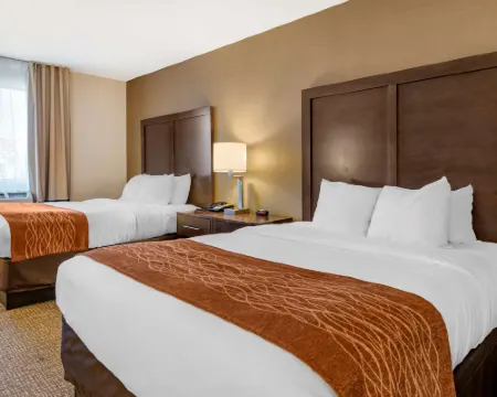 Comfort Inn Williamsport Hotels in Loyalsock Township
