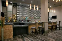 Hilton Garden Inn Mobile Downtown - bar