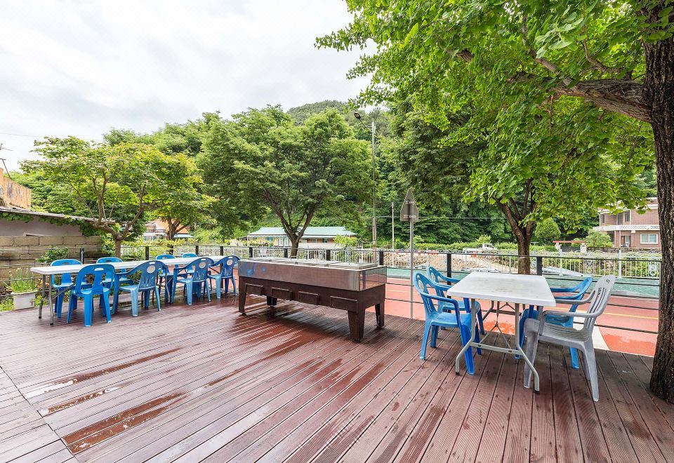 보은의 자연 전경