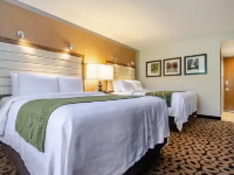 คอมฟอร์ตอินน์ ราเลห์ มิดทาวน์ โรงแรมในราเลห์