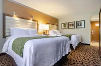 Comfort Inn Raleigh Midtown