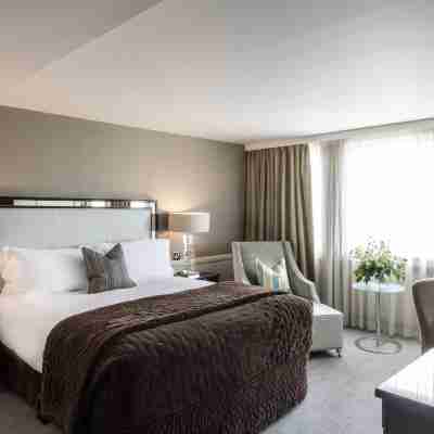 布里斯託爾酒店 Rooms