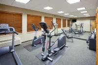 Holiday Inn Express & Suites BRAINERD-BAXTER by IHG - Gym