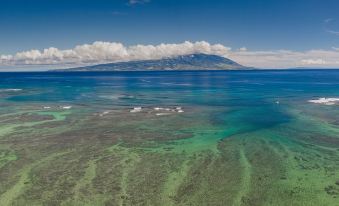 Molokai Vacation Properties – Wavecrest