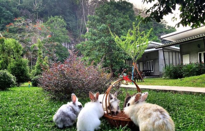 V Valley Resort