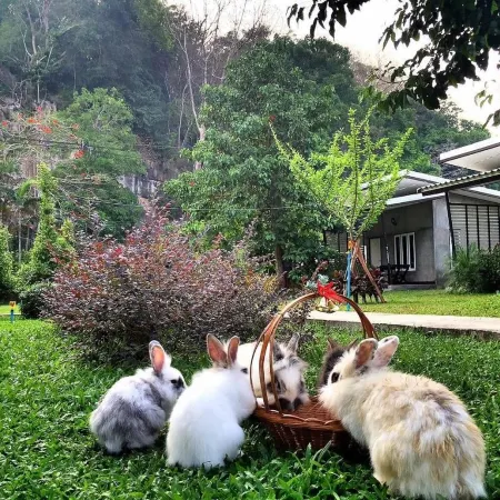 V Valley Resort