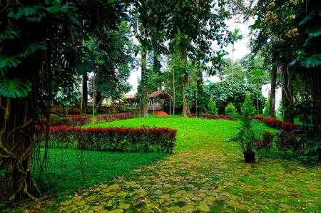 Dnc Shevaroys Resorts & Spa