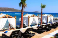 Design Plus Seya Beach Hotel - Luxury