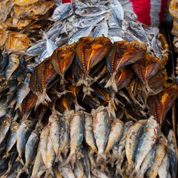 KC Studio 7 at Horizon 101 Cebu