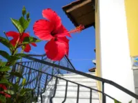 Ostria's House Hotels in Elios Proni