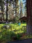 Black Bear Lodge Hotels in South Lake Tahoe