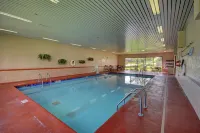 Hampton Inn Indianapolis-South - Pool