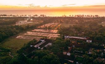 Alila Diwa Goa India