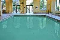 Embassy Suites by Hilton Montgomery Hotel & Conference Center - Pools